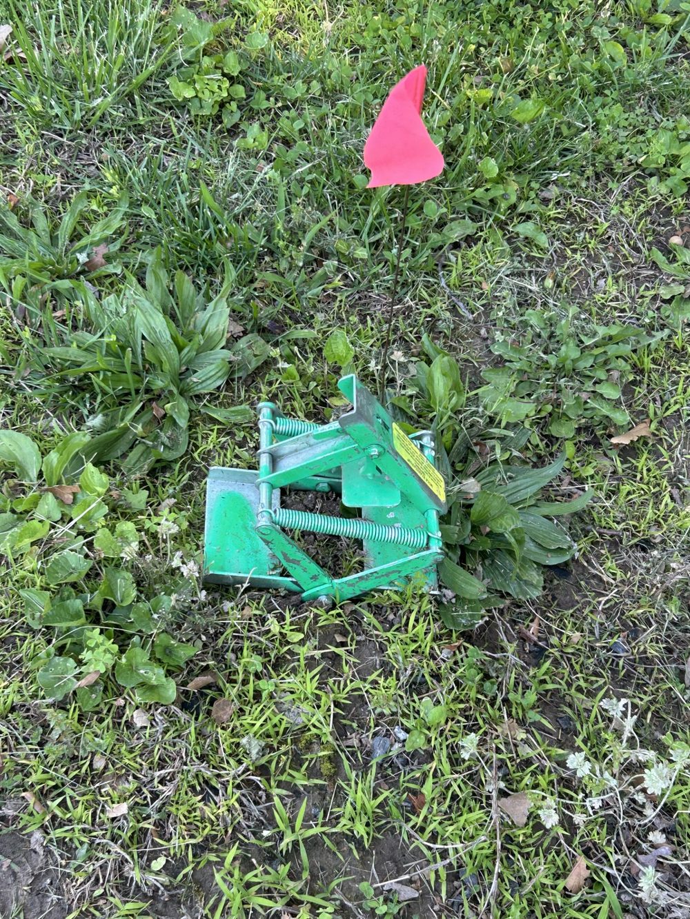 A mole trap set in the grass and flagged